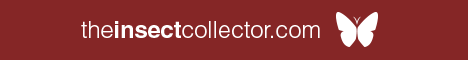 theinsectcollector-banner-468x60.gif
