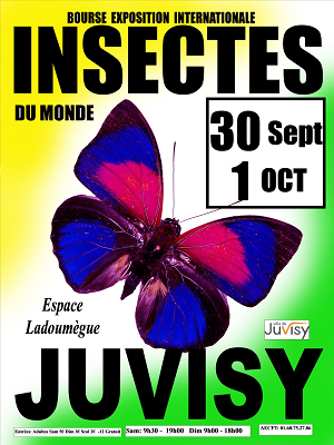Juvisy Paris insect fair.png