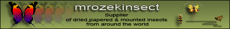 Mrozek Banner