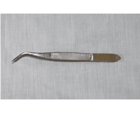 Entomology forceps