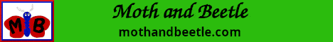Moths and Beetles banner