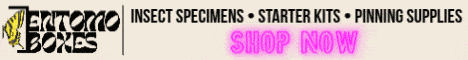 entomoboxes banner